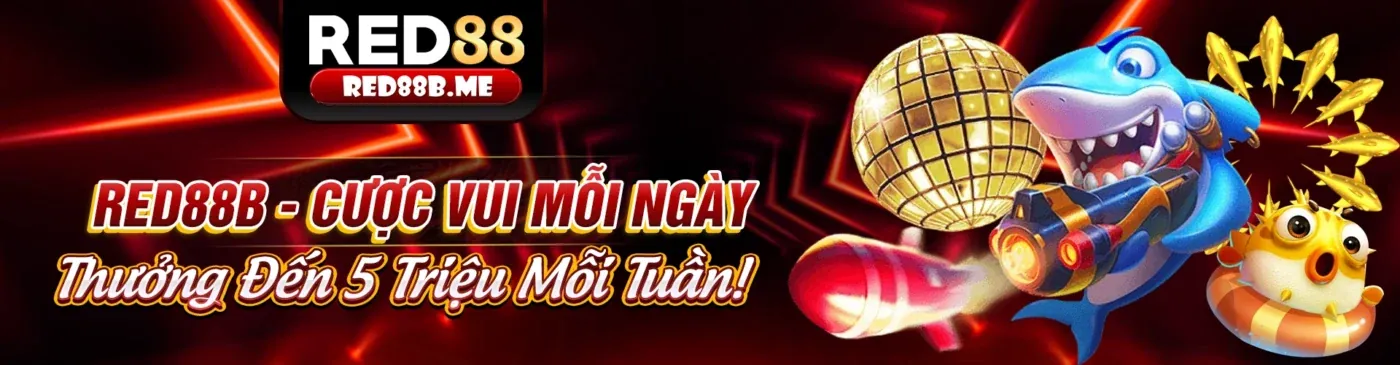 Hình ảnh tổng quan về cách chọn nền tảng cá cược uy tín