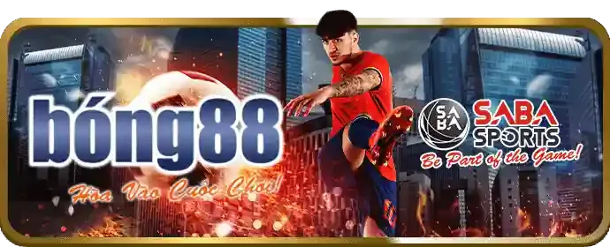 Nền tảng đá gà an toàn minh bạch
